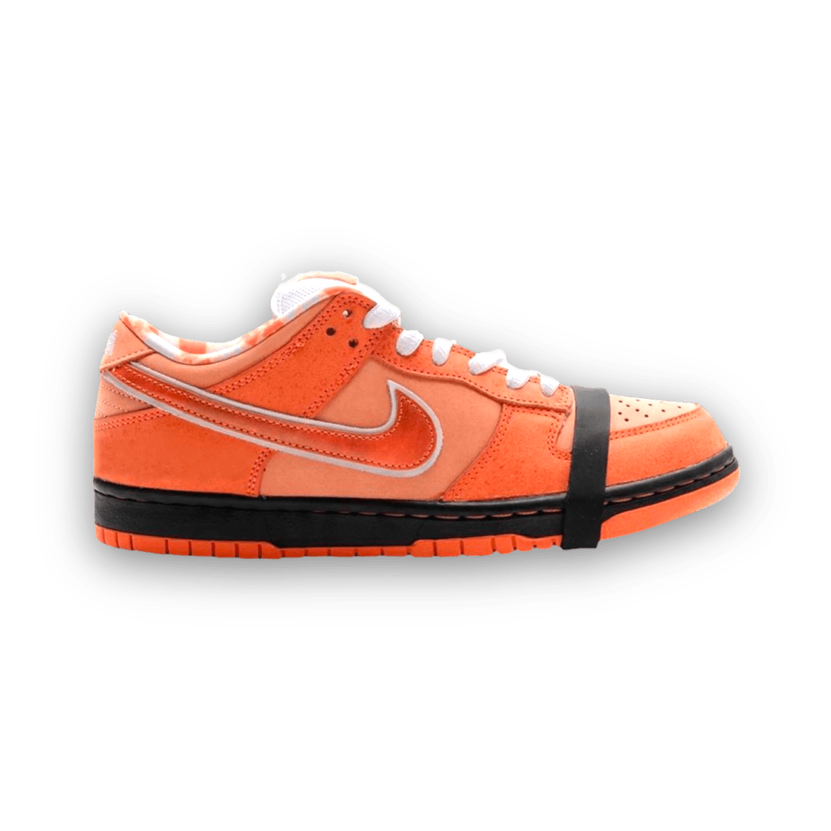 Orange lobster sb hotsell