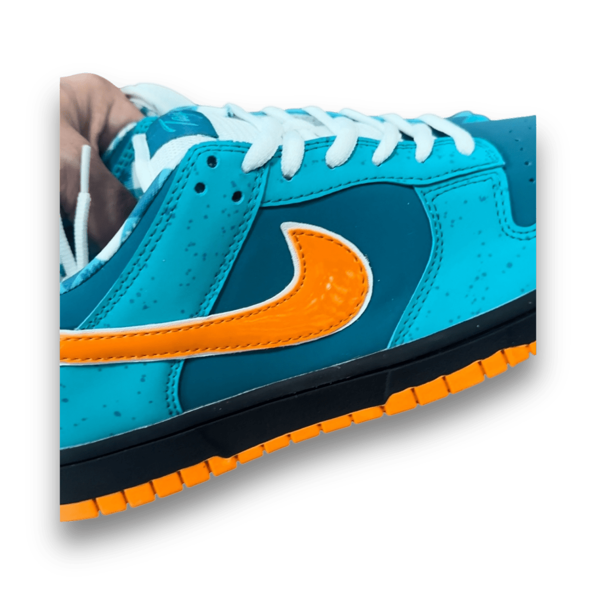 Custom Dolphin Dunk SB - Low Sneaker - Jawns on Fire Sneakers & Shoes