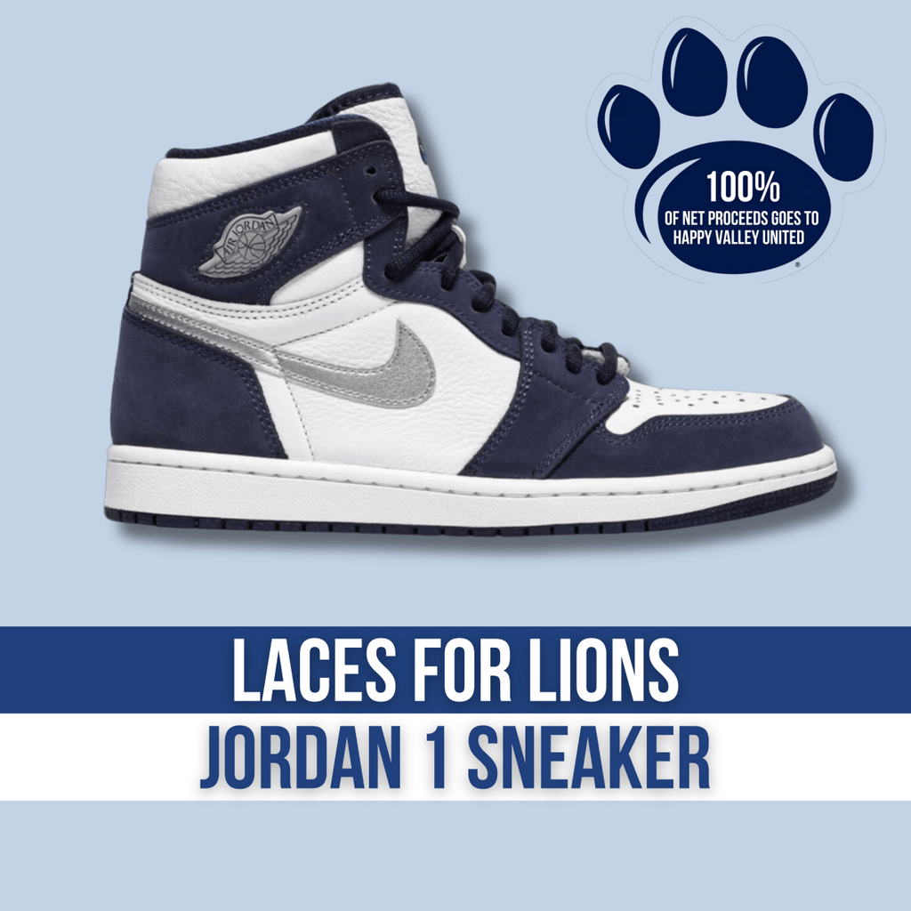 Jordan retro 1 laces online