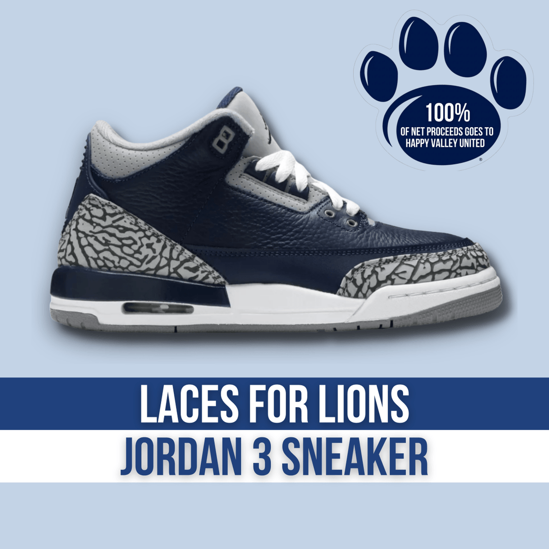 Air jordan 3 laces online